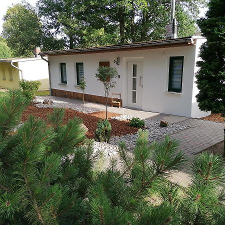 Ferienhaus Regina Neudorf  Екстериор снимка